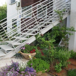 מדרגות ברזל לחצר